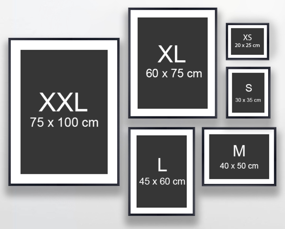 相框尺寸对比图,从XS到XXL