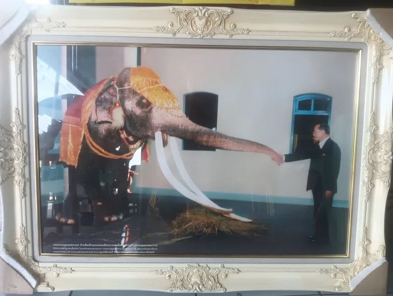 Floating Frames — A New Dimension for Your Art